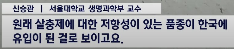 러브버그를 살충제로 죽일 수 없는 이유_4.png