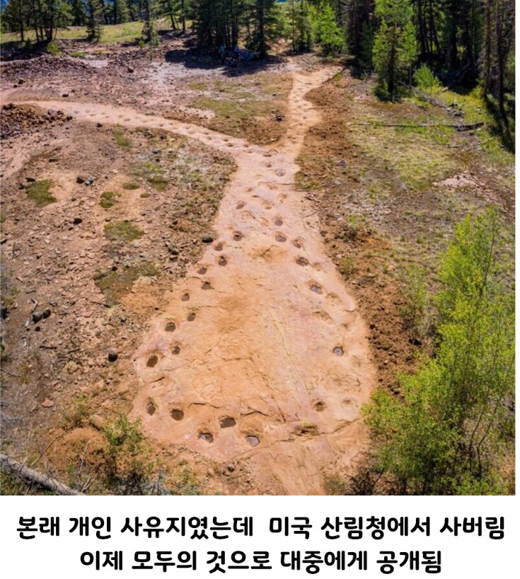 고민이 많아 보였던 공룡의 발자국.jpg_2.png