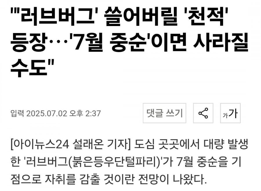 참새가 러브 버그 천적이라는거 개 구라임_1.png
