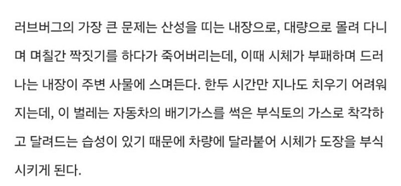 유게 게이들이 러브버그를 조심해야 하는 이유.jpg_1.jpg