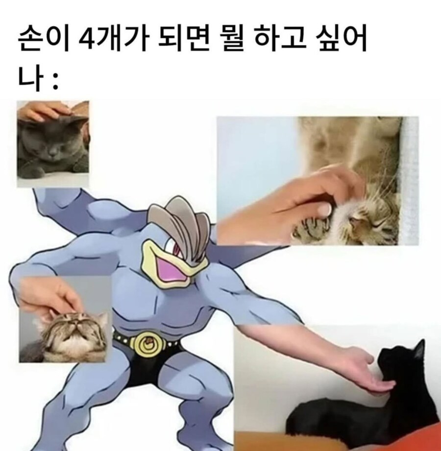 손이 4개가 되면 뭘 하고 싶어.jpg_1.jpg
