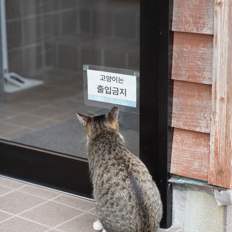 출입금지_1.jpg