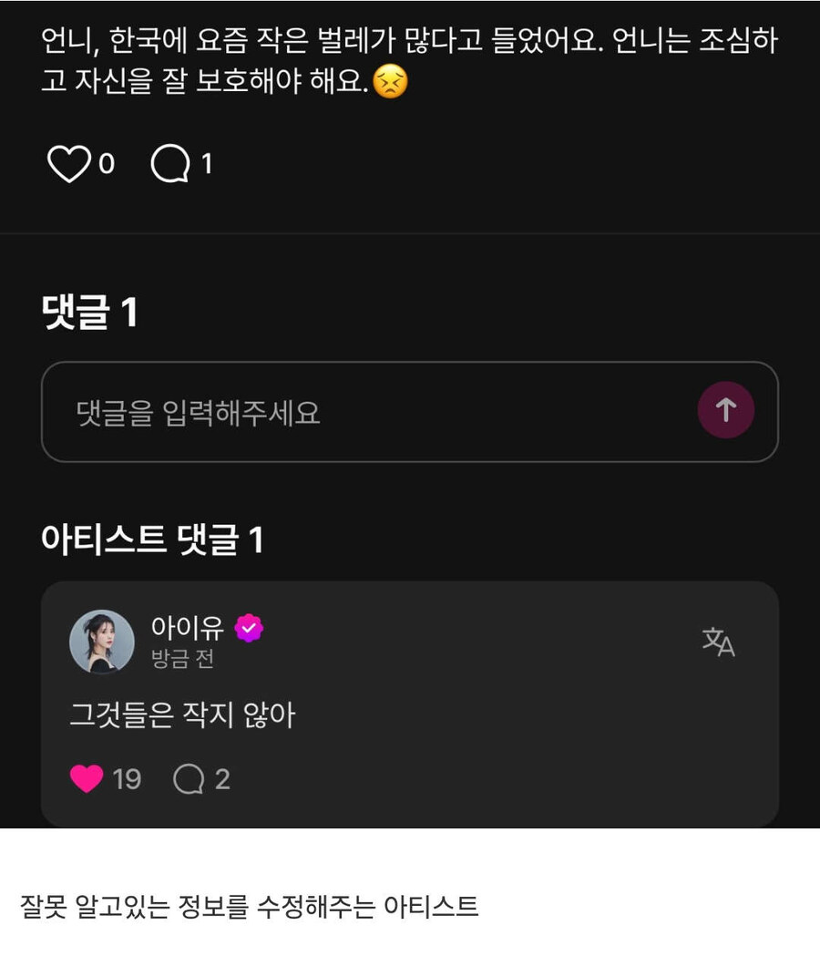 해외 K-pop 팬들에게도 알려진 러브버그 준동 사태_1.jpg