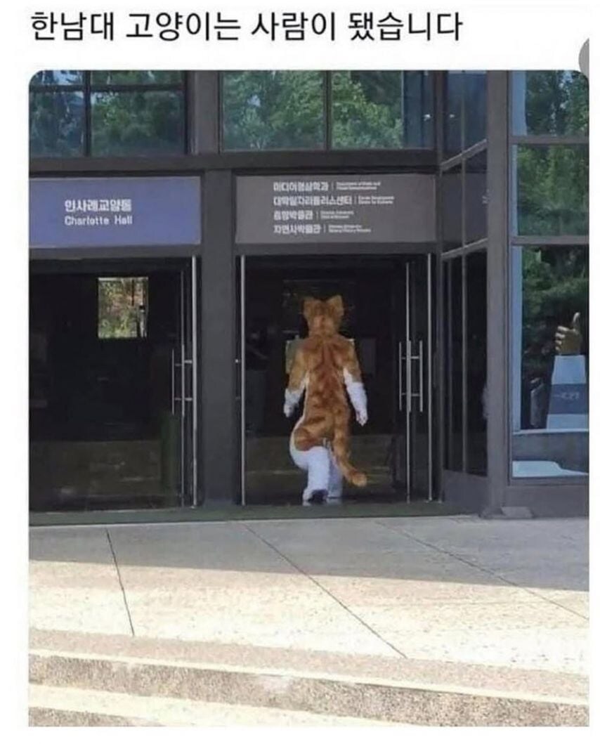 각 대학교별 고양이들 모습.eta_9.jpg