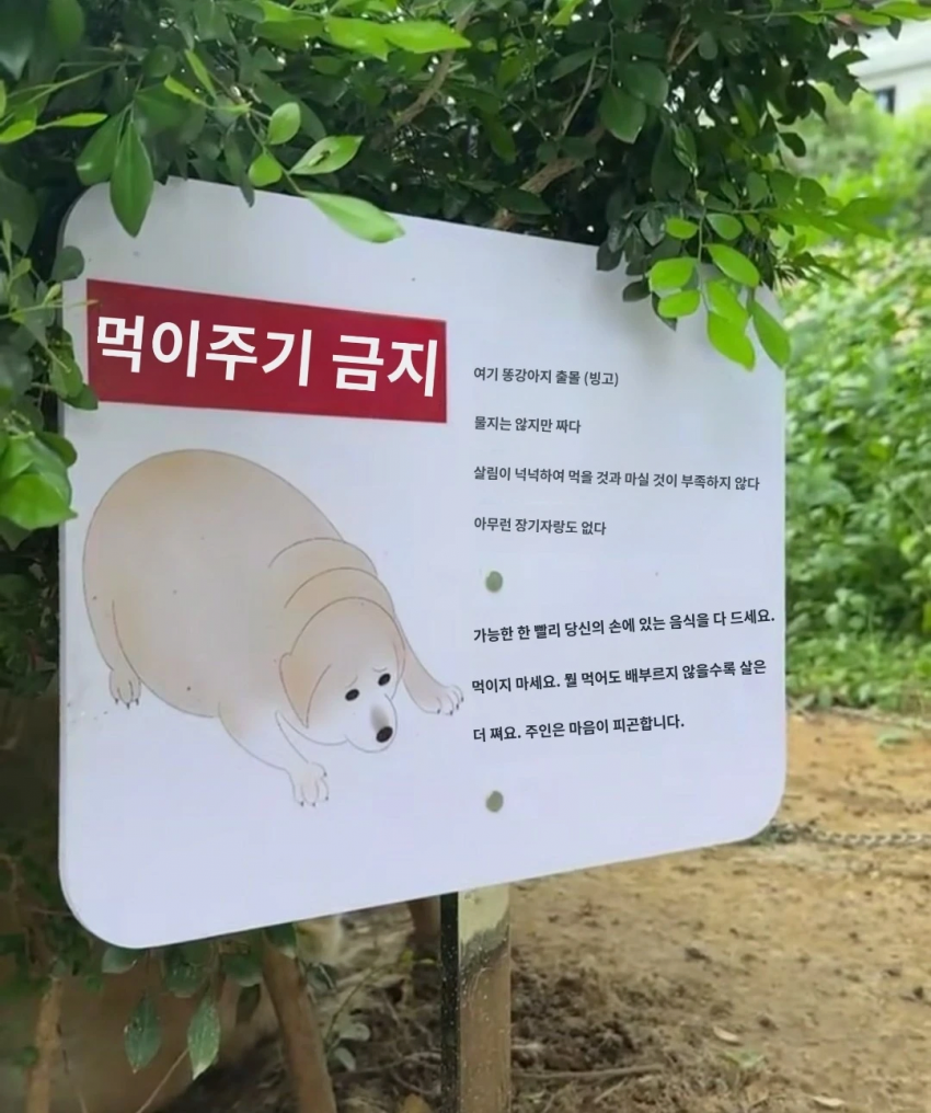 "먹이를 주지 마세요"_2.webp