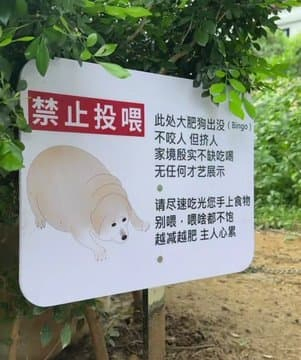 "먹이를 주지 마세요"_1.webp