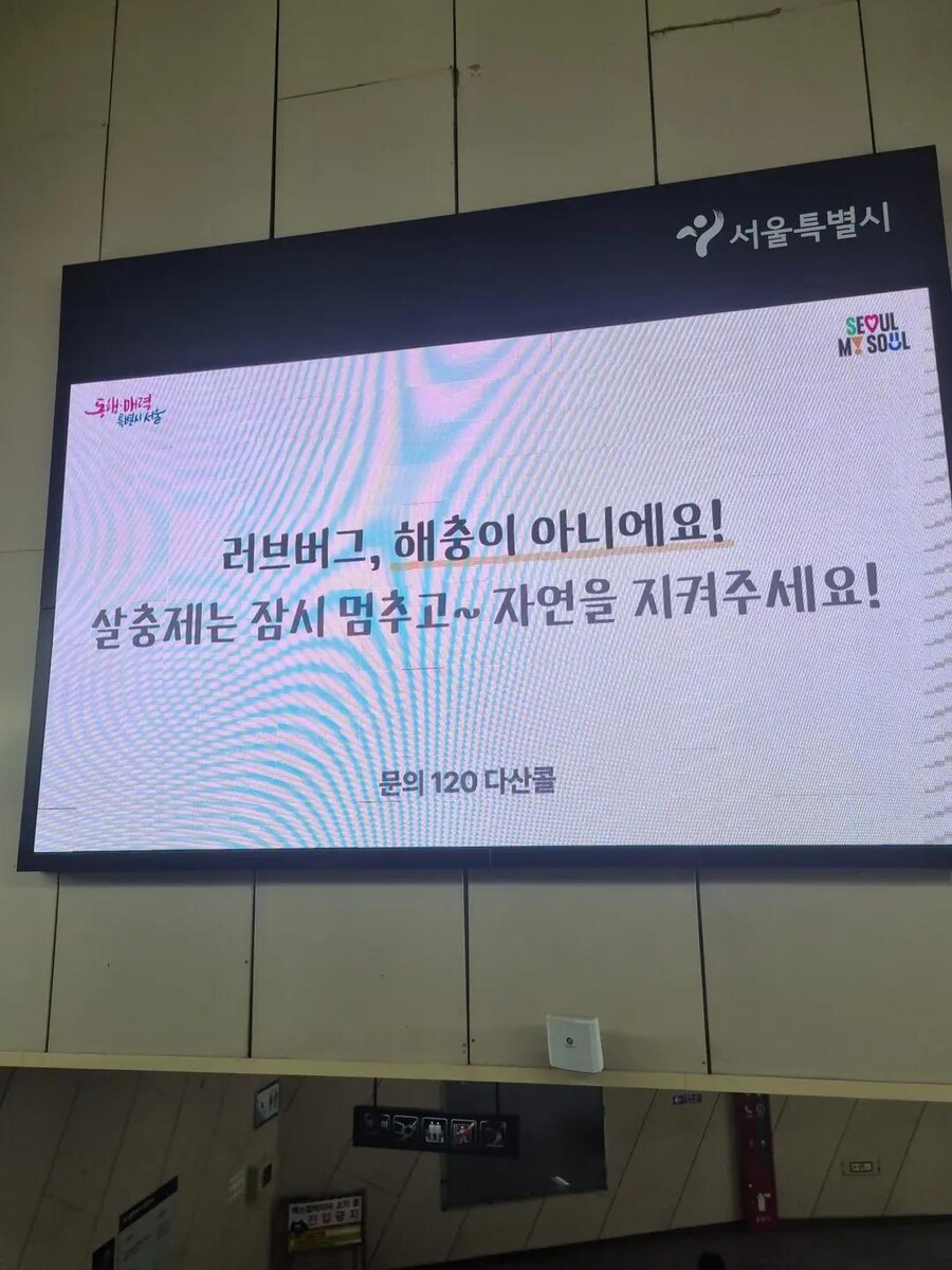 서울사람들이 당하고 있는 가스라이팅_2.jpg