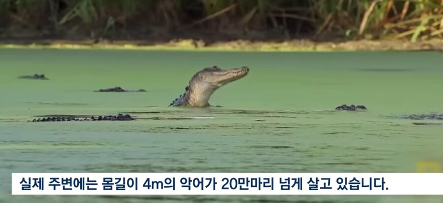 오늘도 쓰레기같이 화끈한 트럼프의 일상.news_4.png