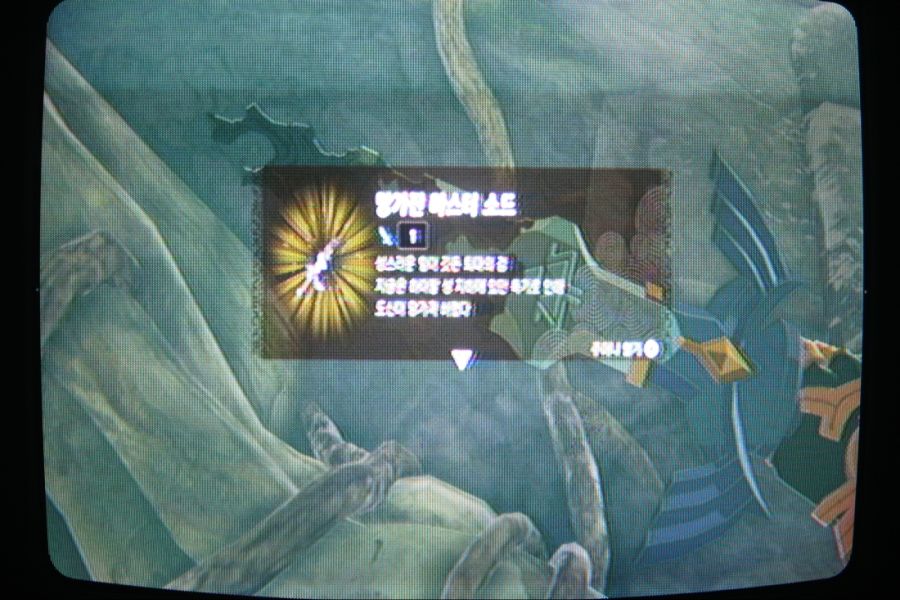 젤다의 전설 : 티얼스 오브 더 킹덤_63.jpg