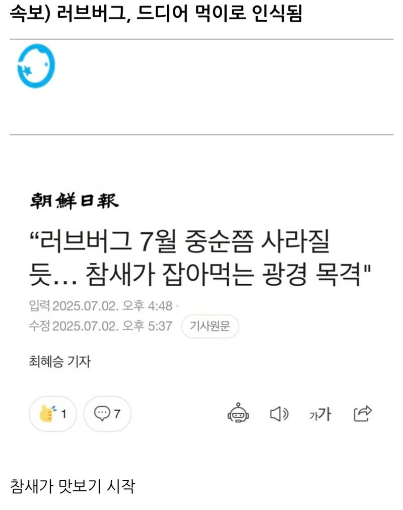 속보) 러브버그, 드디어 먹이로 인식됨_1.webp