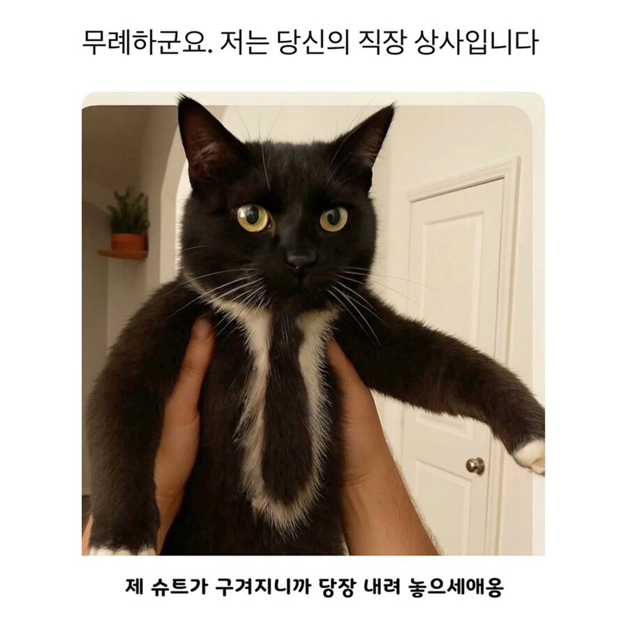 무례하군요. 저는 당신의 직장 상사입니다_1.jpg