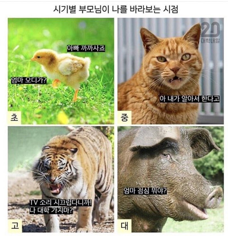 부모님이 날보는 시점.jpg_1.jpg