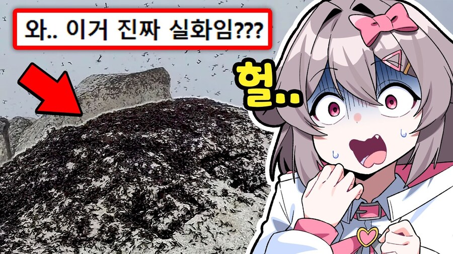 버튜버) 벌칙으로 등산하기 앞서 러브버그 사태를 본 양아지.jpg_1.jpg