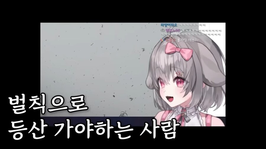버튜버) 벌칙으로 등산하기 앞서 러브버그 사태를 본 양아지.jpg_11.jpg