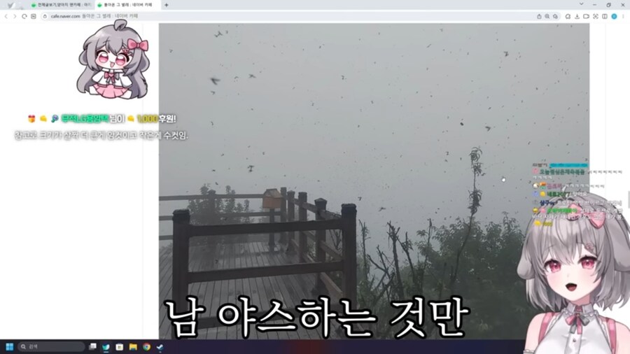 버튜버) 벌칙으로 등산하기 앞서 러브버그 사태를 본 양아지.jpg_13.jpg