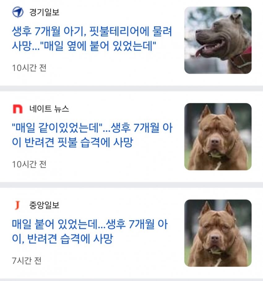 악마도 울고갈 미국 시위 레전드 jpg