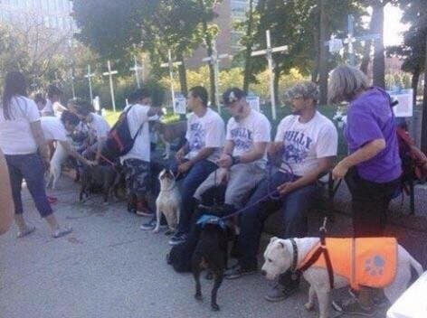 악마도 울고갈 미국 시위 레전드 jpg_8.jpg