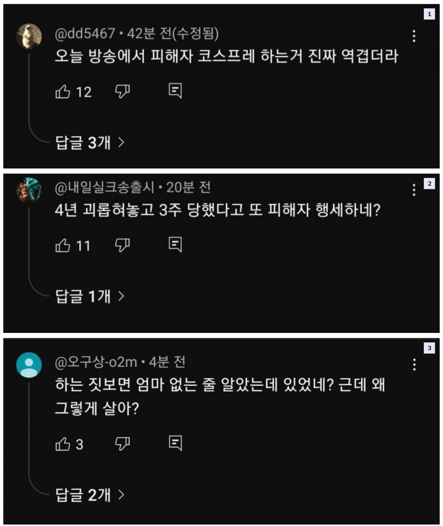ㅇㅇㄱ) 매콤한 ㄱㅅㄱ 유튭 댓글_1.png