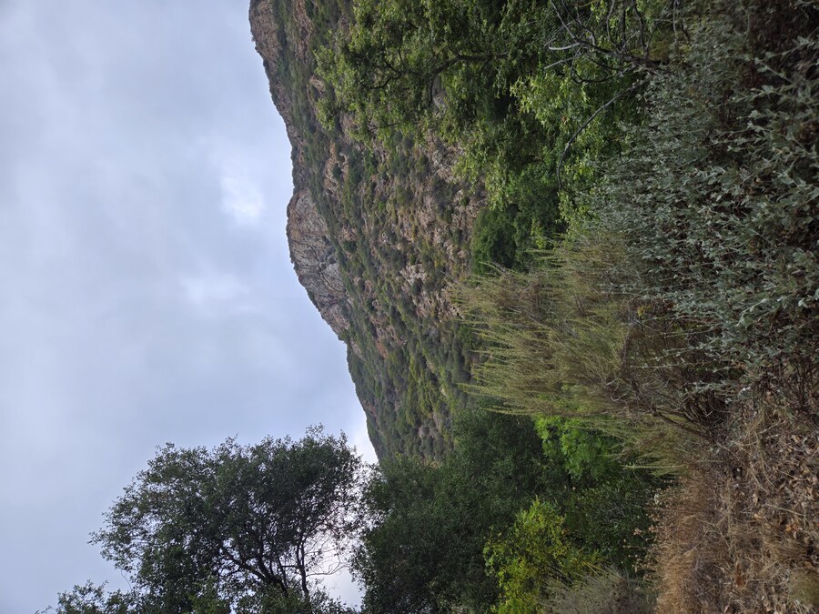 산행후 대충 사묵는 LA 순대의 명가, 8가 순대;ㅎ_1.jpg