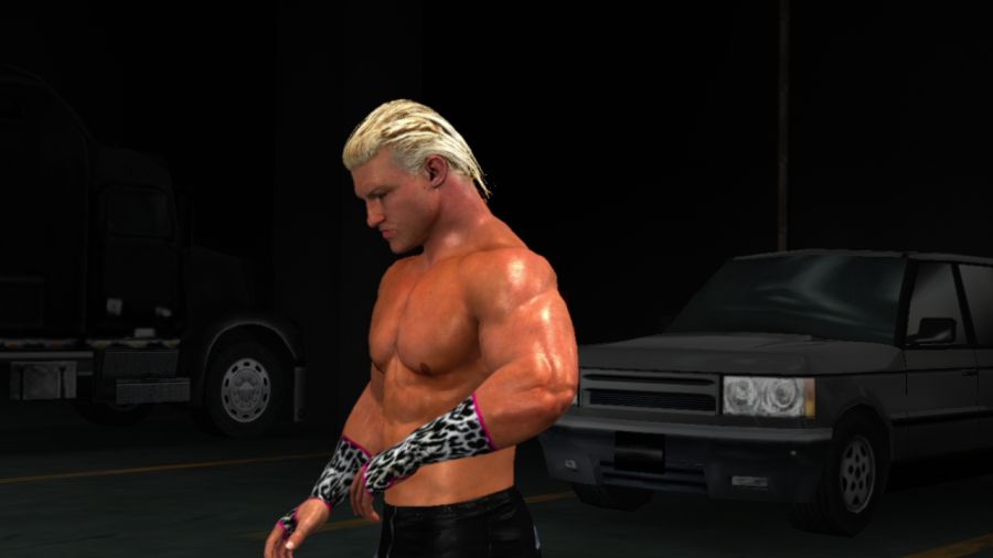 [레슬링게임]WWE 스맥다운vs로우 2011_3.jpg