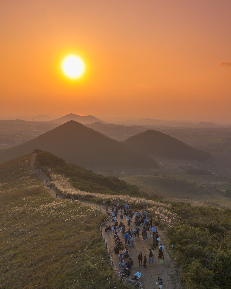 새별오름 드론샷_8.jpg