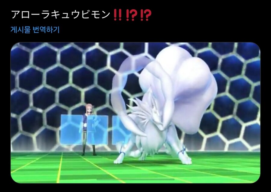 디지몬) 저 포켓몬 아니에요 ㅠㅠ_2.jpg