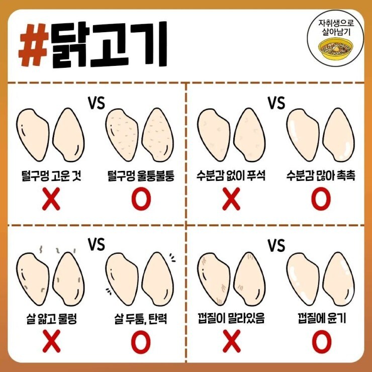 각종 과일, 채소, 육류, 식재료 고르는 팁.jpg_4.jpg