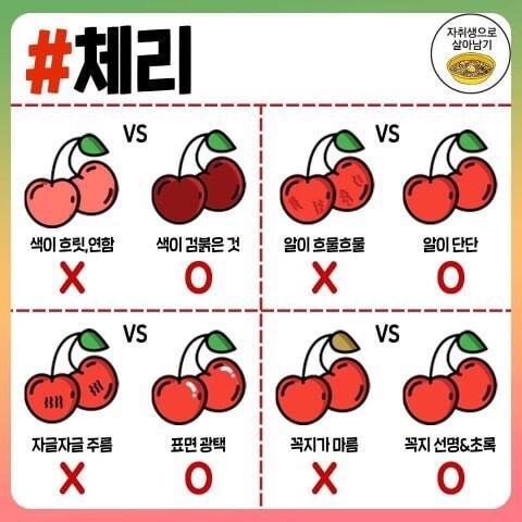 각종 과일, 채소, 육류, 식재료 고르는 팁.jpg_7.jpg