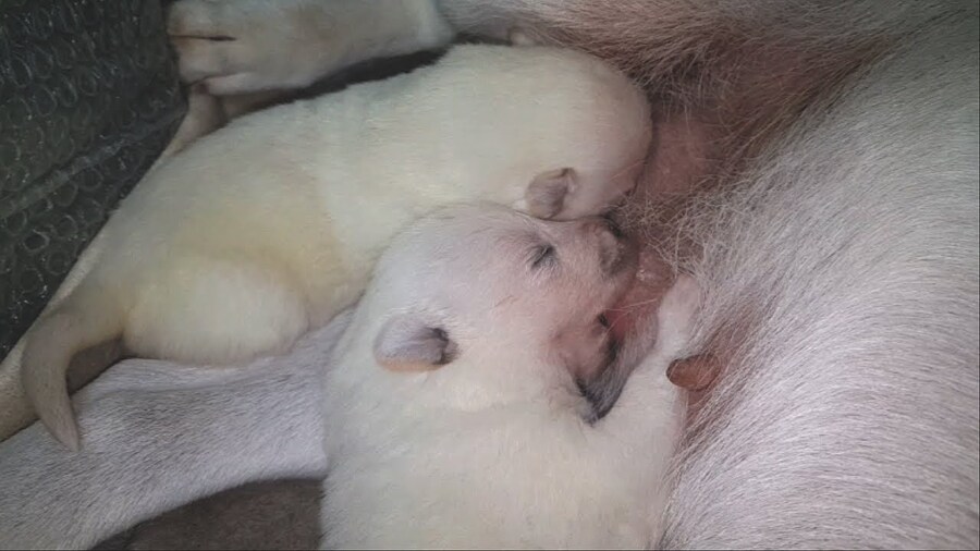맛있는 쭈쭈먹자_1.jpg
