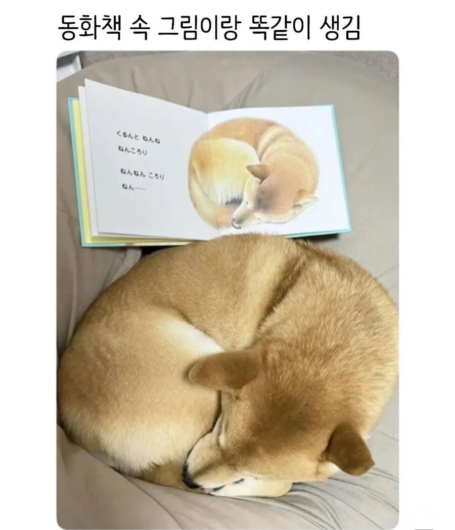 동화책의 현실고증 수준_1.jpg
