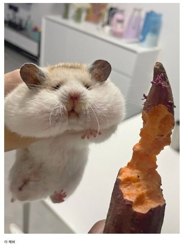 니가 한게 아니라는거지??_1.jpg
