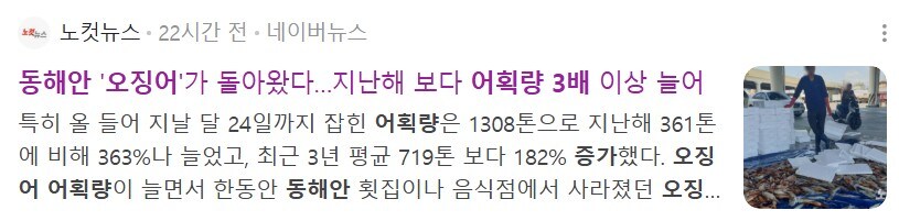 동해안 오징어 어획량 3배 증가_2.jpg