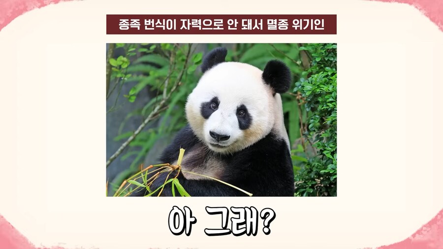 인방) 제발 편견이라는 걸 좀 가져!_3.png
