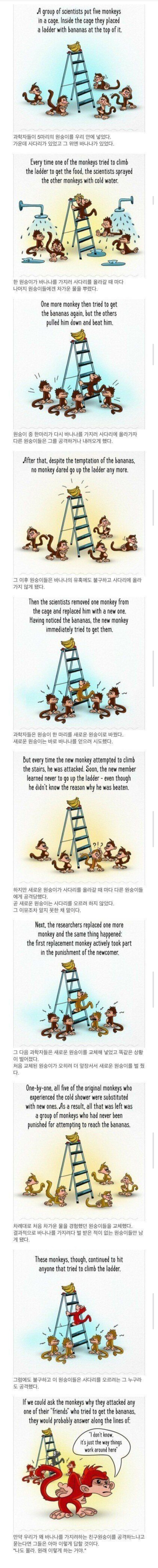 사회적 금기가 형성되는 과정_1.jpg