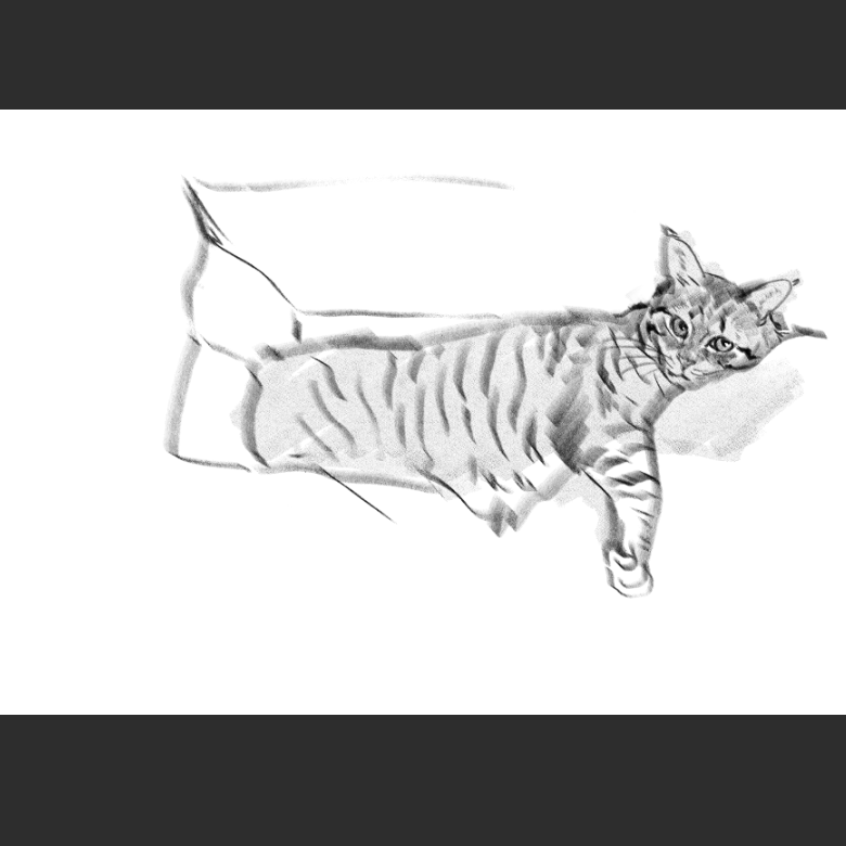 고양이) 우리집 고양이그림 보고가셈_2.png