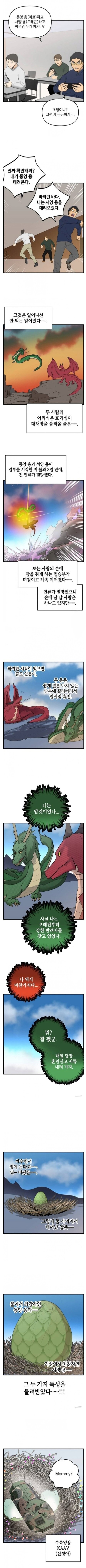 동양용 vs 서양용_1.png