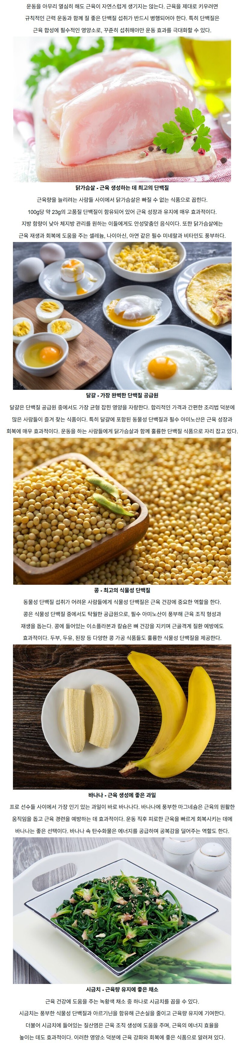 근육을 키우는 데 도움이 되는 식품들_1.jpg