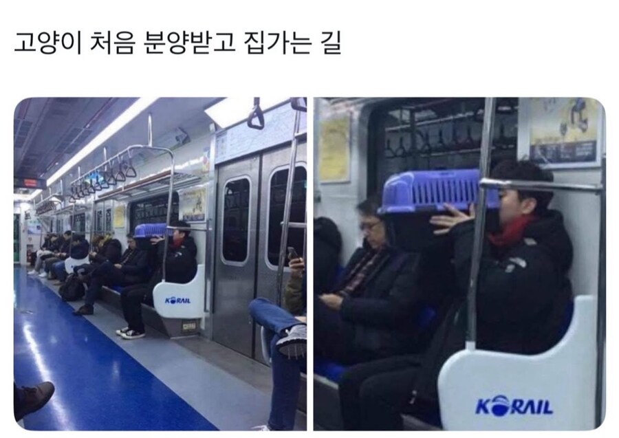 고양이 처음 분양받고 집가는 길_1.jpg