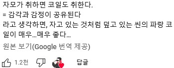 유게이들이 좋아할거같아서 가져온 모야모랑 술마시는 쇼츠..인데_1.png