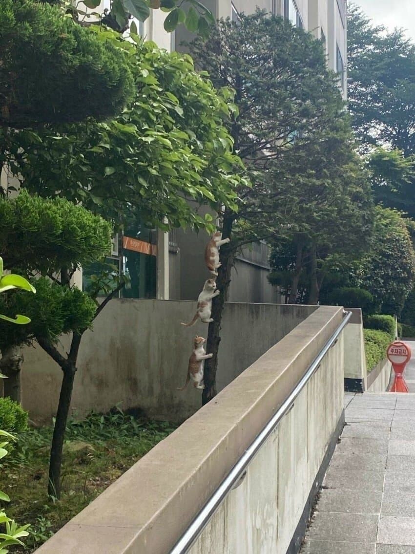 이건 머냐_1.jpg