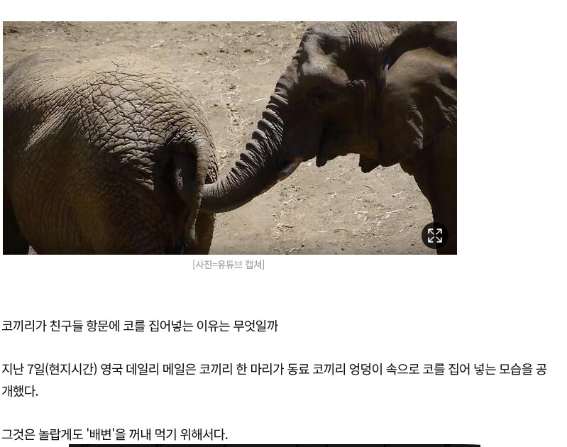 해병자판기_1.png