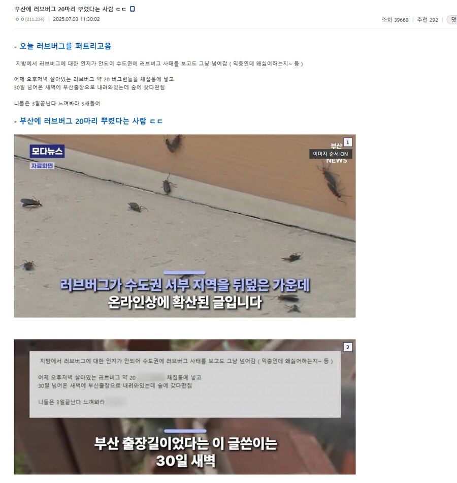 (러브버그) 부산에 러브 버그 뿌리기.JPG_1.png