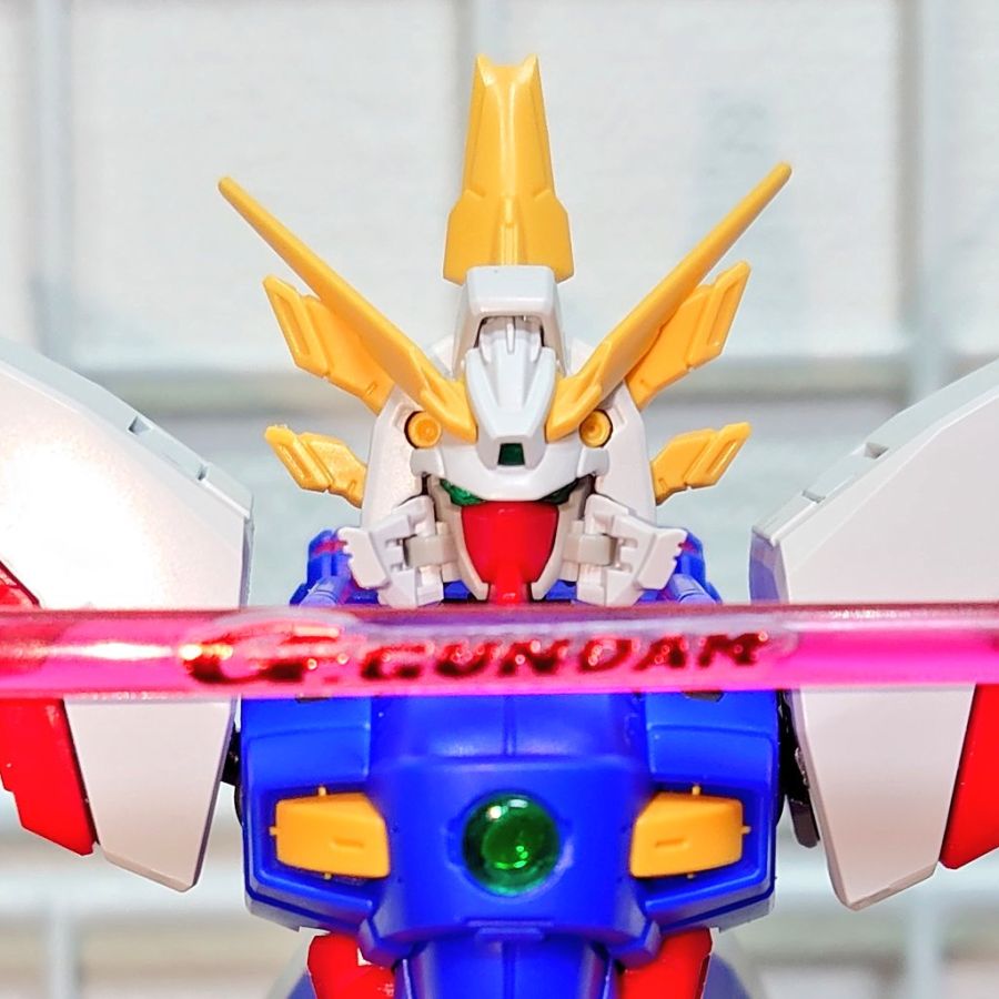 RG 샤이닝 건담 + HIRM 갓 건담 조합 사진_4.jpg