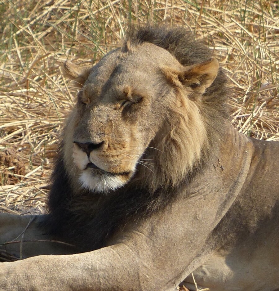 머리카락의 중요성_1.jpg