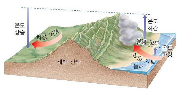 동해안이 내륙+서해보다 훨씬 더운 이유_2.png