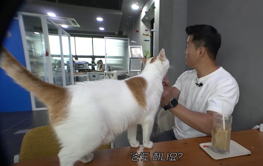 *** : '손'도 하나요?_1.png