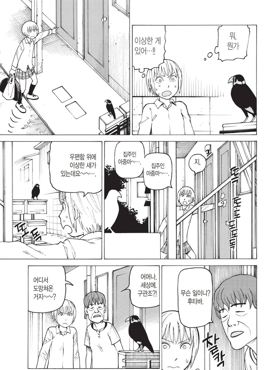 새 함부로 주우면 안되는 이유_2.jpg