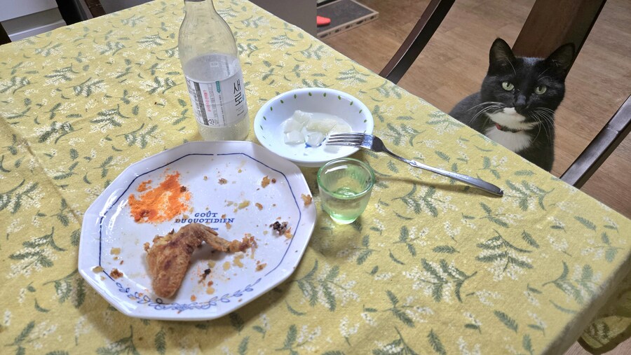 최근 집에서 만들어 먹은 통닭_18.jpg