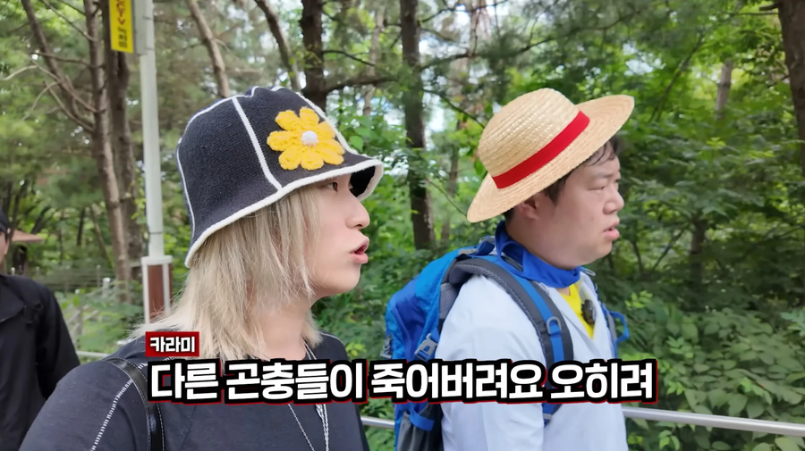 요즘 핫한 러브버그 방역에 살충제를 못쓰는 이유_12.webp