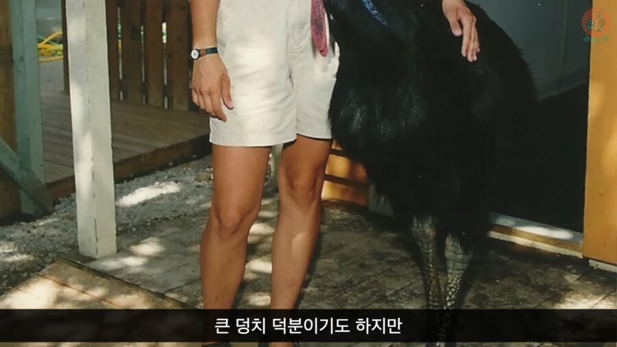 세상에서 가장 위험한 새라고 불리우는 화식조의 반전_2.png